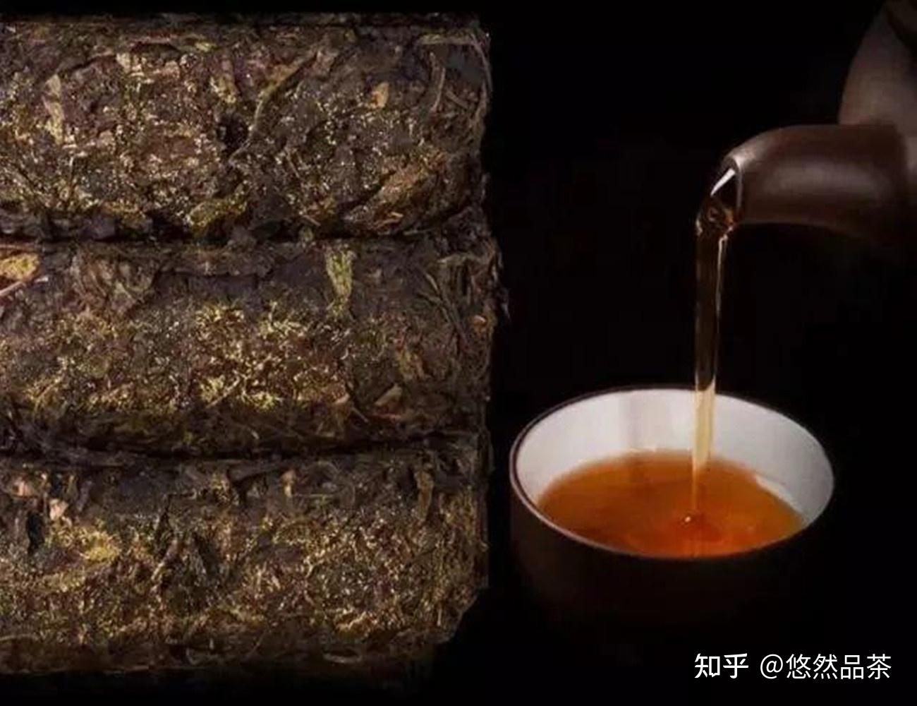 神奇的黑茶将发酵工艺运用得淋漓尽致先后共3次发酵金花现