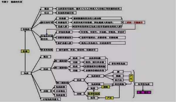 中考生物初中生物思维导图67