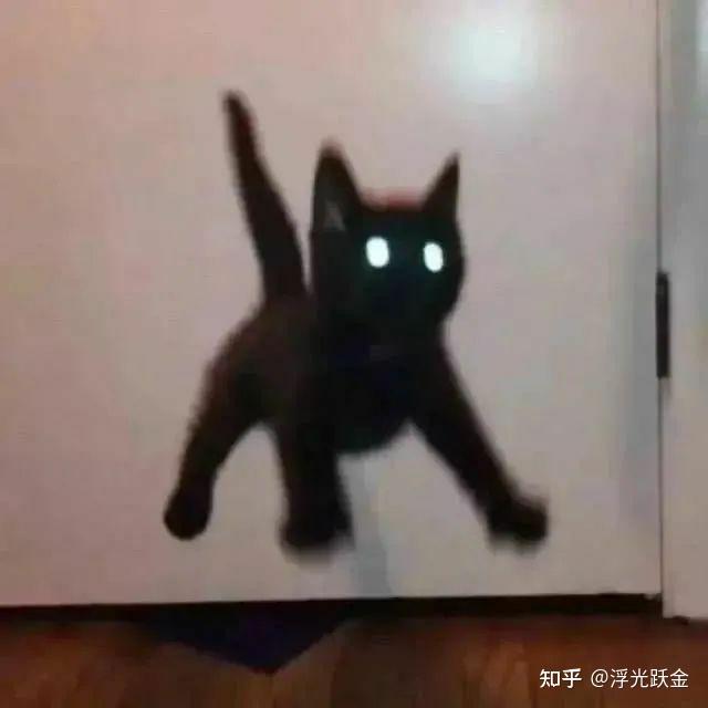 求黑猫表情包