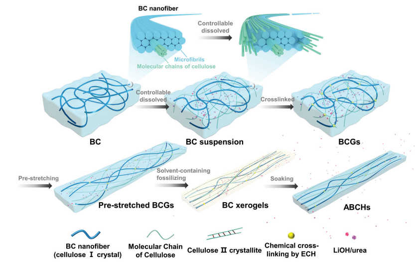 nanoscale各向异性高强度细菌纤维素导电水凝胶