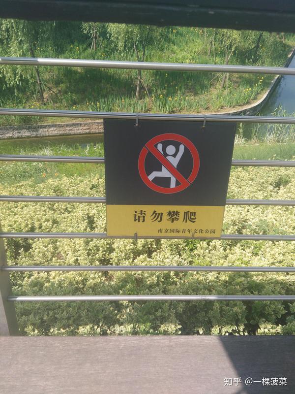 园林法规-浅谈南京国际青年文化公园的设计