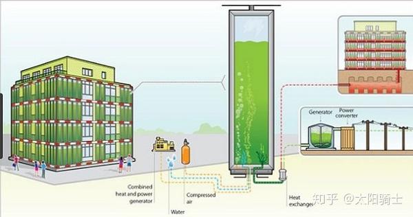 在建筑物的南面墙体表面嵌入了光生物反应器,用于培养微藻.