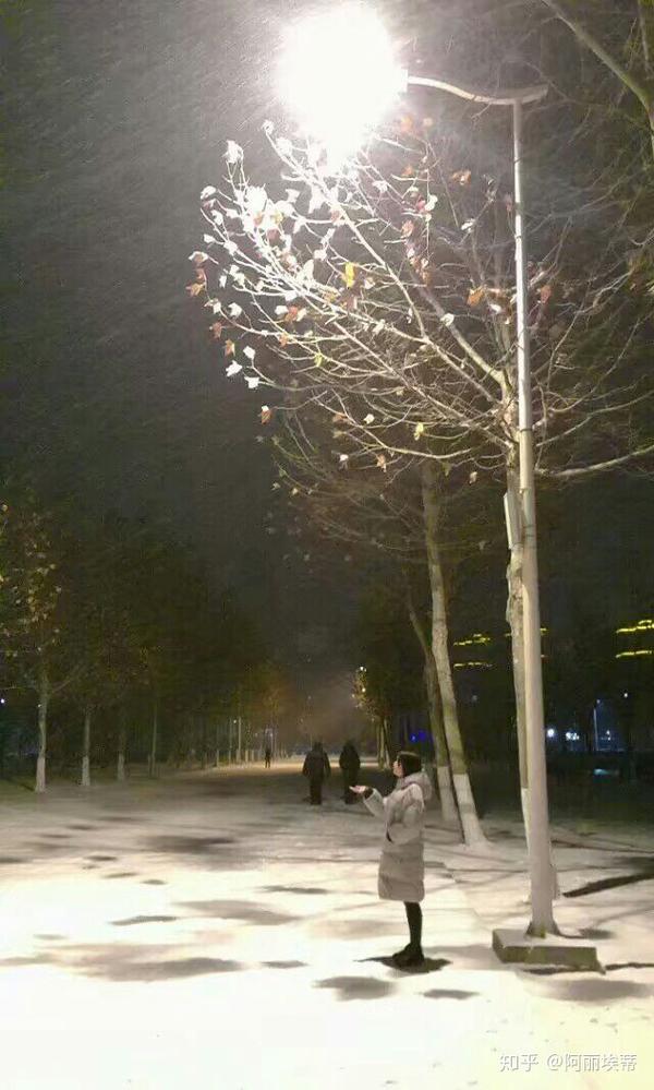 下雪了,一个路灯,一个人.