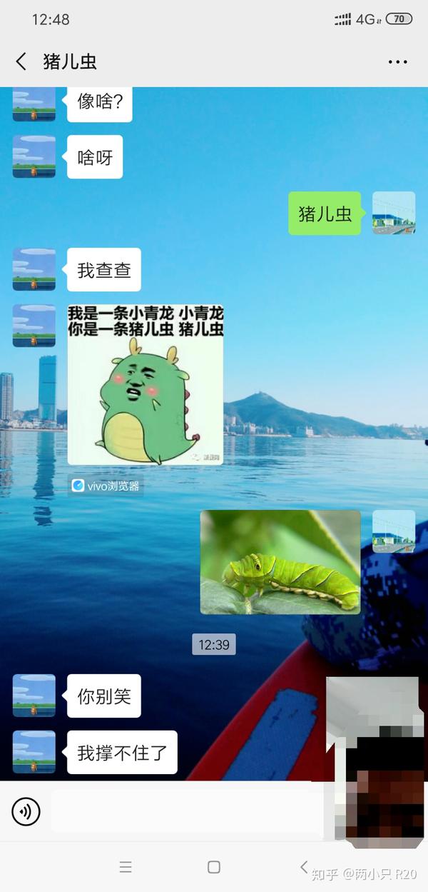 小青龙爱猪儿虫