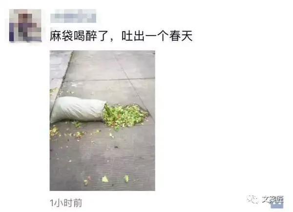 朋友圈沙雕文案10版