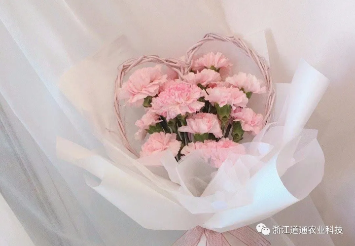 女神节の赠花推荐|感恩母亲的付出