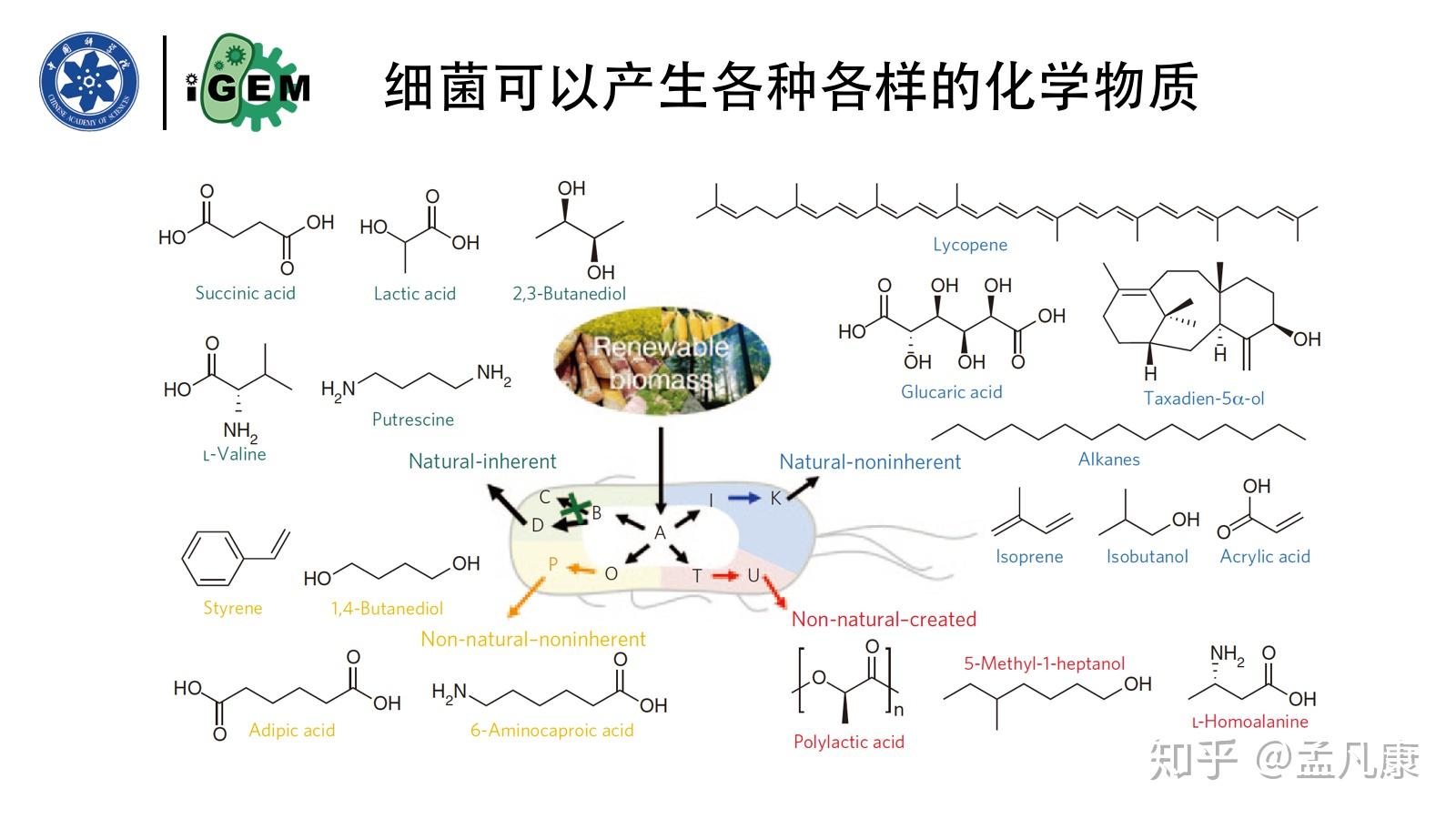 合成生物学的现在与未来丨国科大中学生夏令营科普演讲 知乎