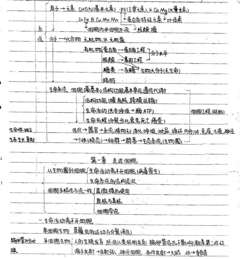 高考生物学霸笔记满分状元88页手写版高一到高三备考可用