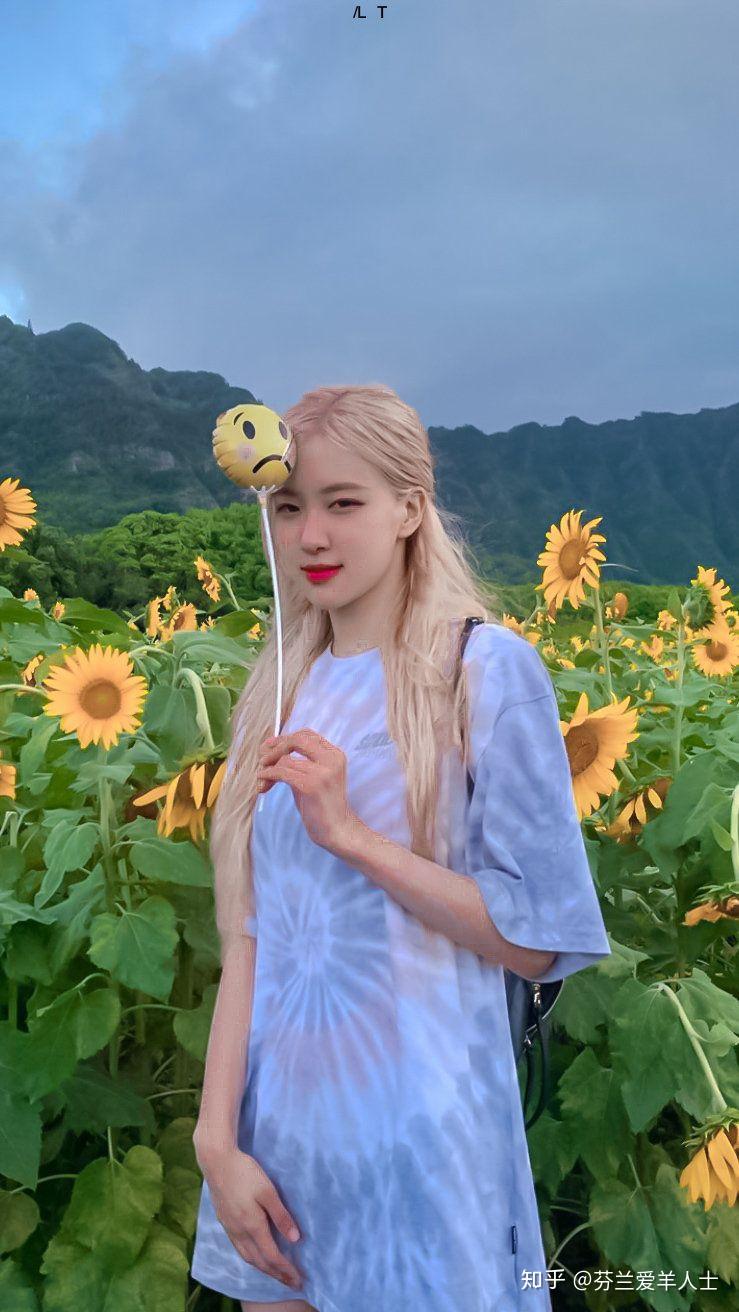 朴彩英的名字是rose加撇内个还是roise啊