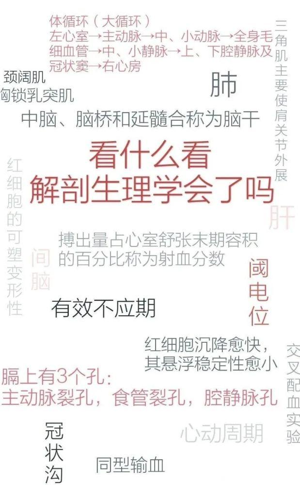 写文章 登录