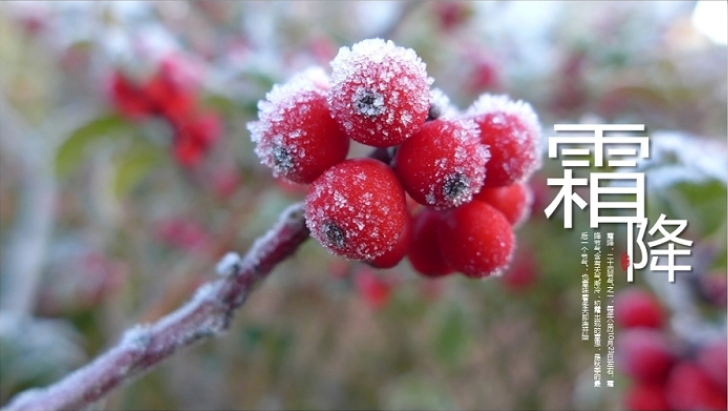 风景画唯美二十四节气之霜降ppt模板