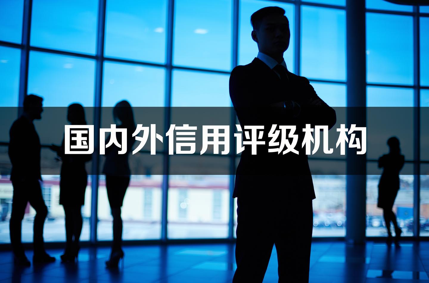 国内外信用评级机构