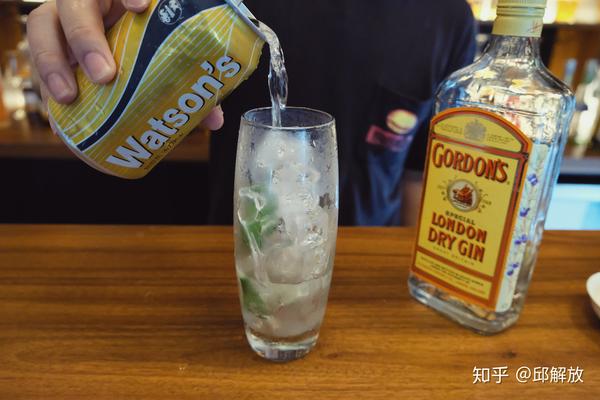 鸡尾酒金汤力