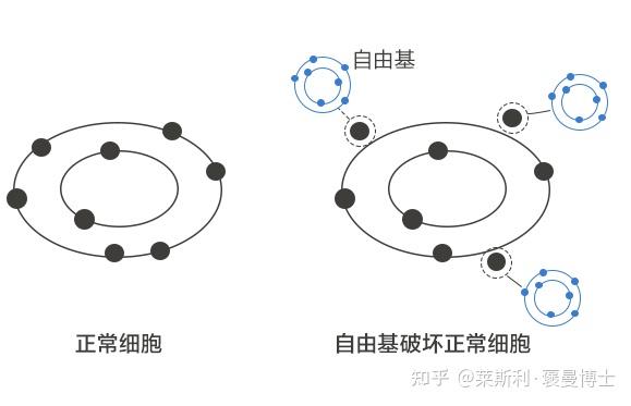 什么是自由基它们又是如何影响你的皮肤的