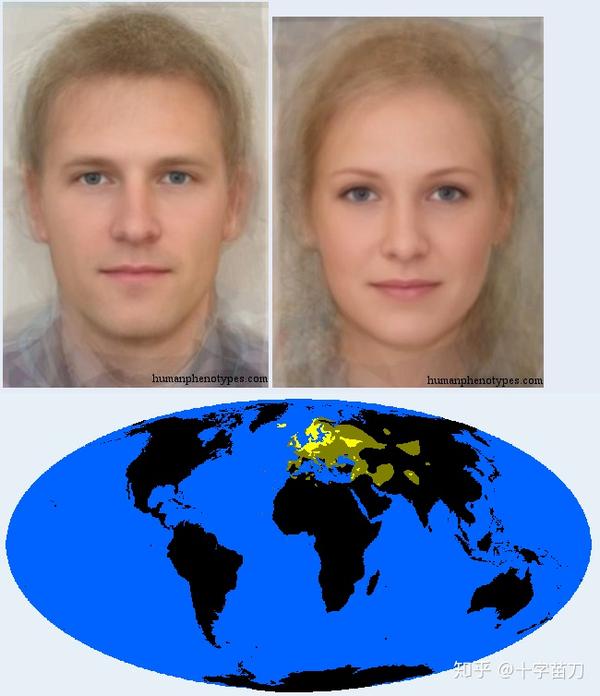 新欧洲人种北欧人种北欧类型(nordid)