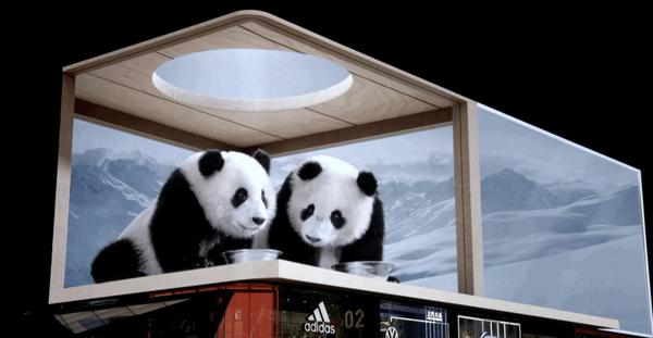 萌化了太古里的裸眼3d熊猫滚滚幕后故事大揭秘