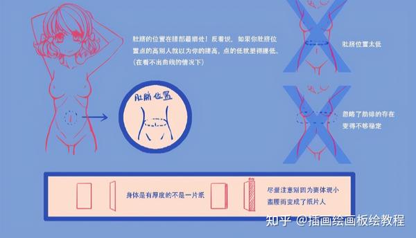 教你柔软女生身体的画法讲解