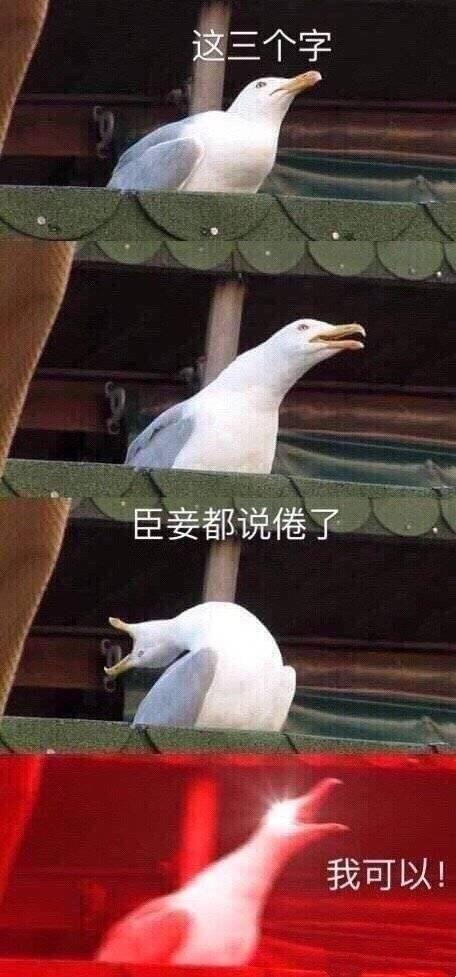 有哪些你认为沙雕搞笑的表情包?