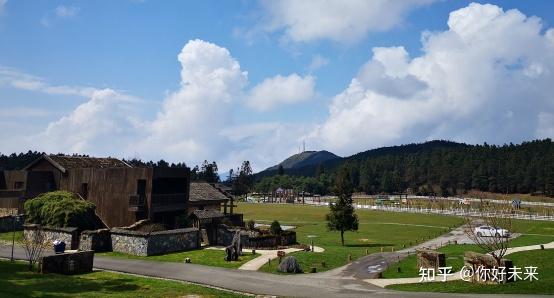 重庆北站南广场旅游集散中心—仙女山镇旅游接待中心—仙女山景区