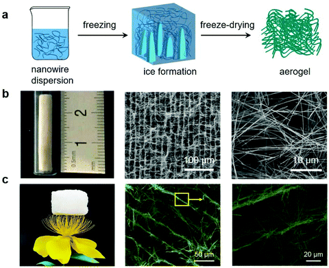 《nanoscale》厦门大学程威综述:宏观纳米线气凝胶的制备与应用