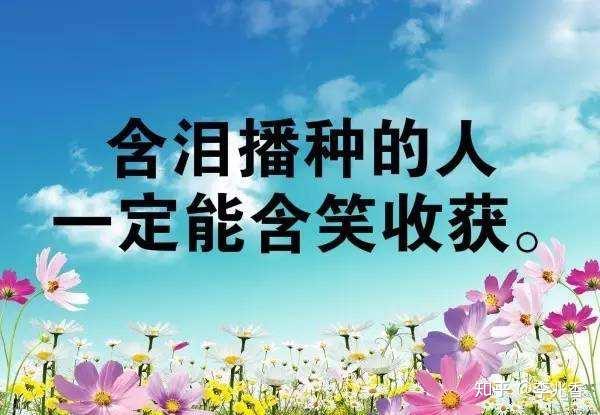 正能量激励人的好句子,致人生路人努力前行的你