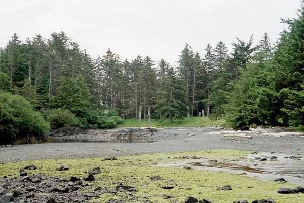 伊海纳斯国家公园保护区,国家海洋保护区和海达文化遗址(gwaii haanas