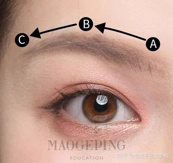 眉峰:眉毛弓形最高点在鼻尖外侧到瞳孔外侧之间的对角线.