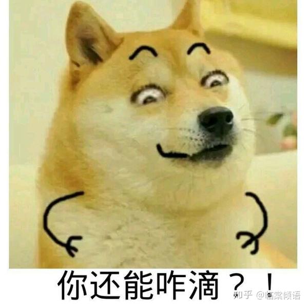 你都存了哪些傻屌表情包?