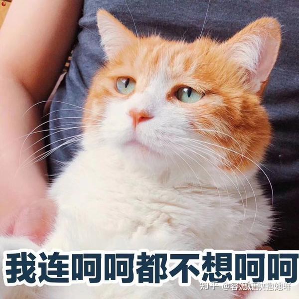 我呸,一群真香狗