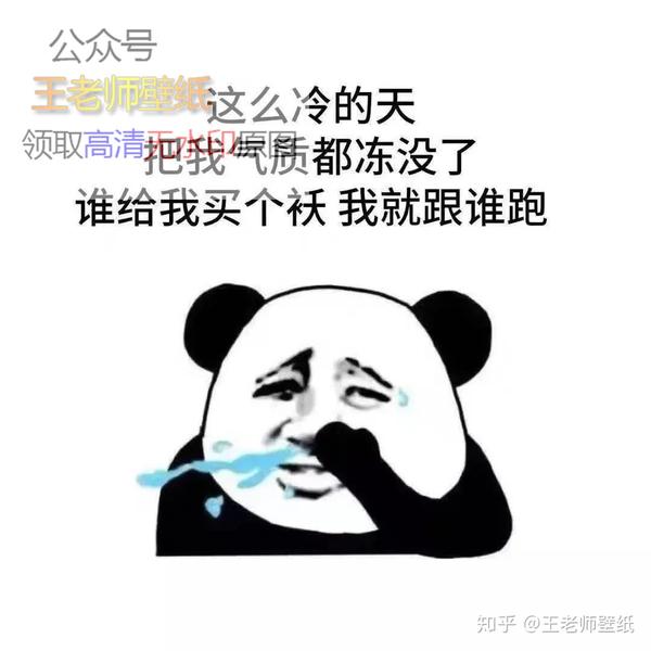 这么冷的天把我气质都冻没了谁给我买个袄我就跟谁跑文案背景图片