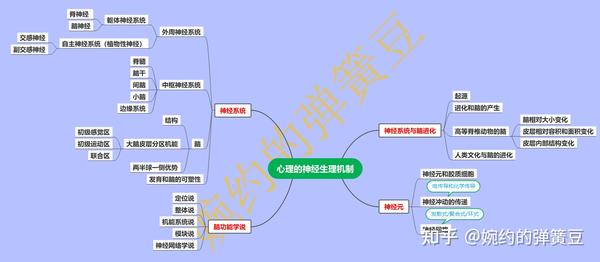 心理的神经生理机制