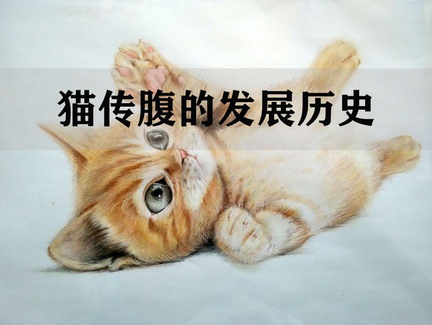 猫传腹的历史网络整理版