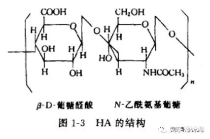 它属于多糖类,由β-d葡糖醛酸-n-乙酰氨基葡糖双糖单位交联组成[2]