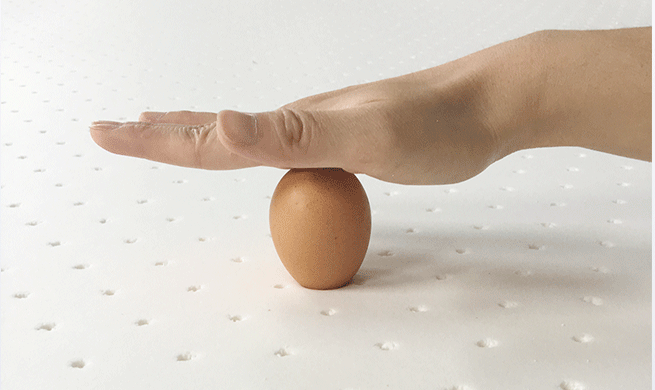 鸡蛋各个方向释力均匀,不会破裂(图片来源网络侵删)