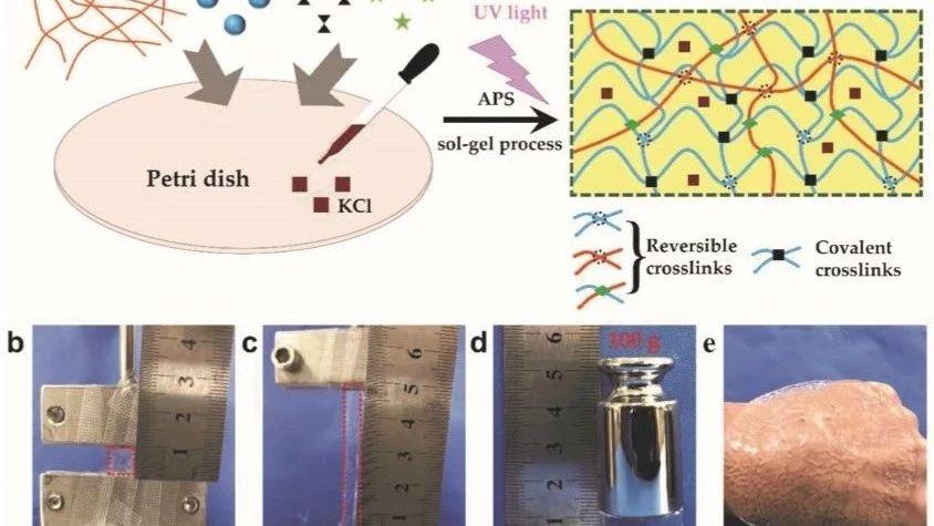 先进功能材料一种高可拉伸性高透明度自图案化水凝胶基传感器