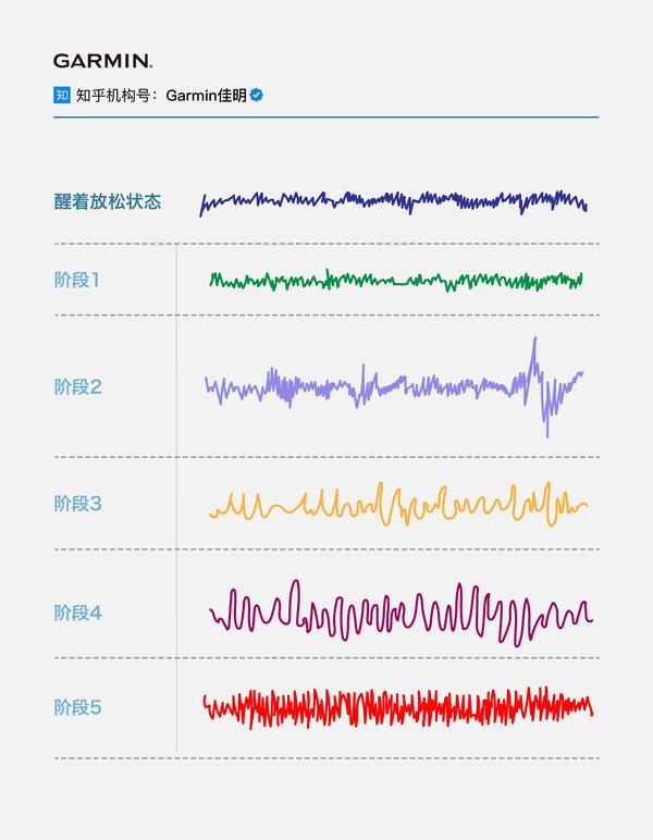 5个阶段的脑电波图