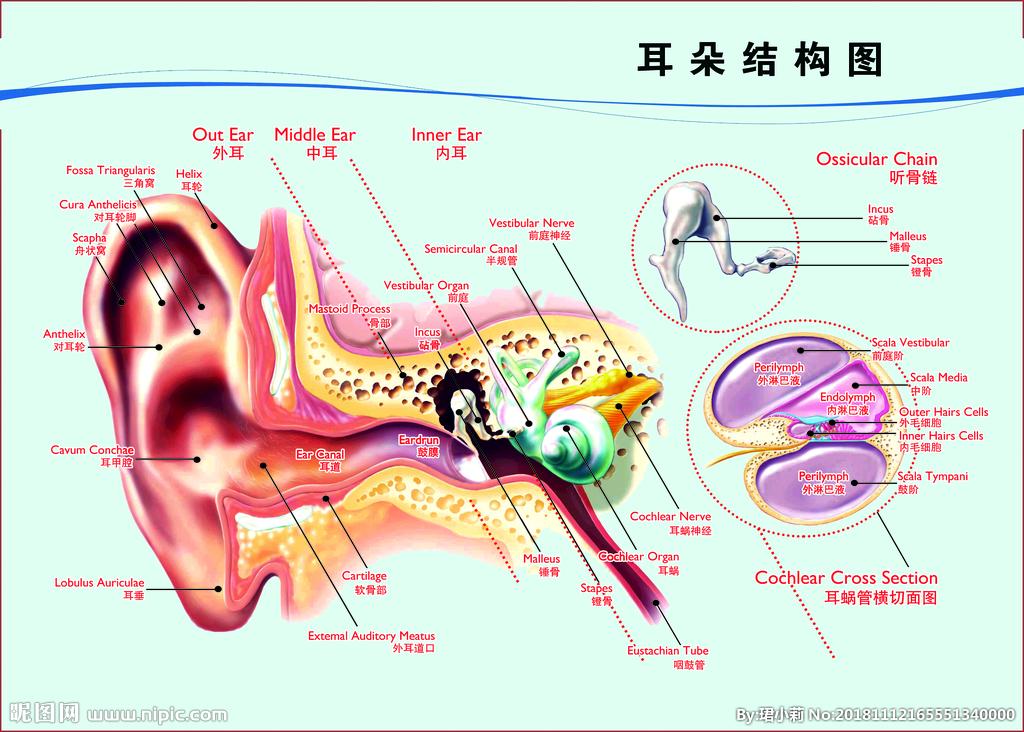 什么是中耳炎 中耳炎是指中耳组织结构感染性或炎性疾病,这种炎症