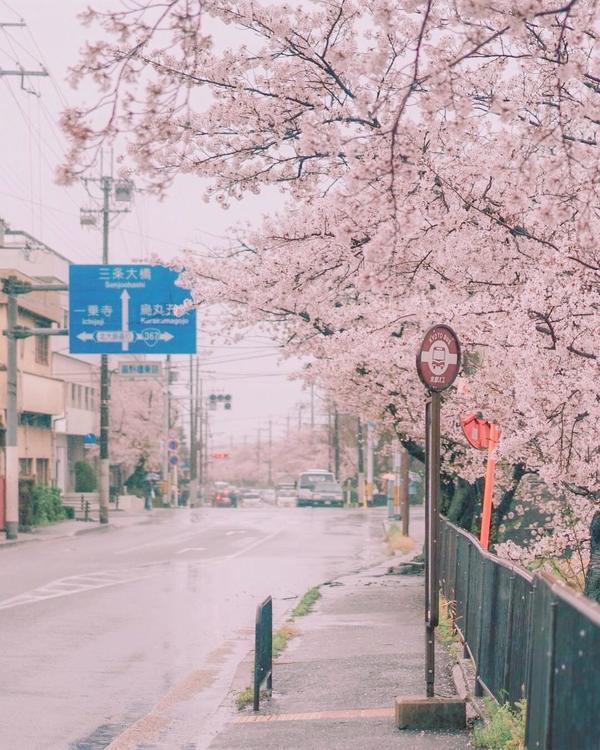 有无日本高清街景壁纸推荐?