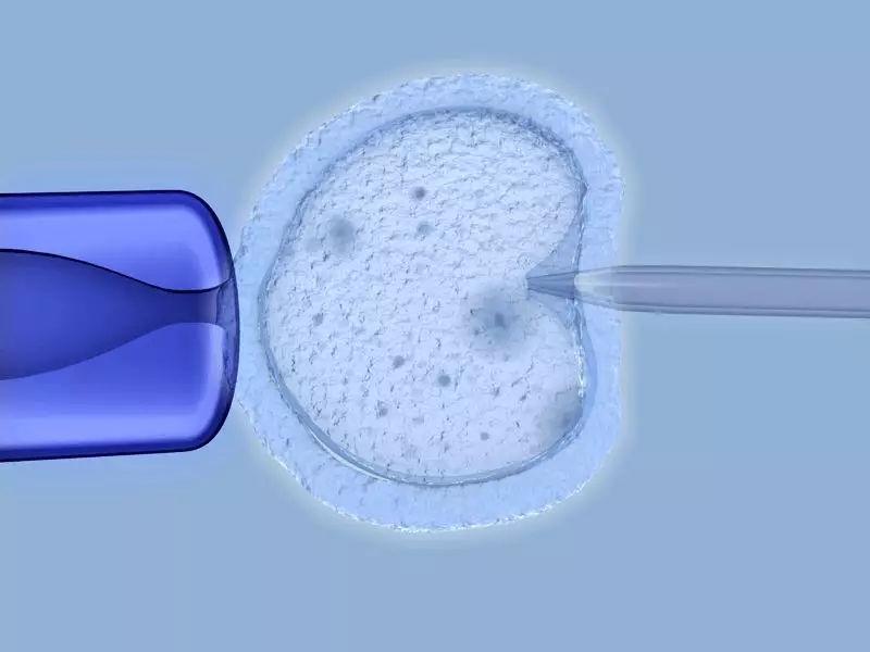 试管婴儿促排多次真的会引发卵巢早衰吗