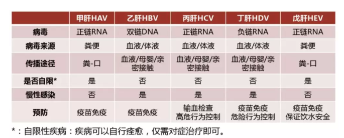 病毒性肝炎病毒性肝炎根据致病因不同,主要分为甲型肝炎,乙型肝炎,丙