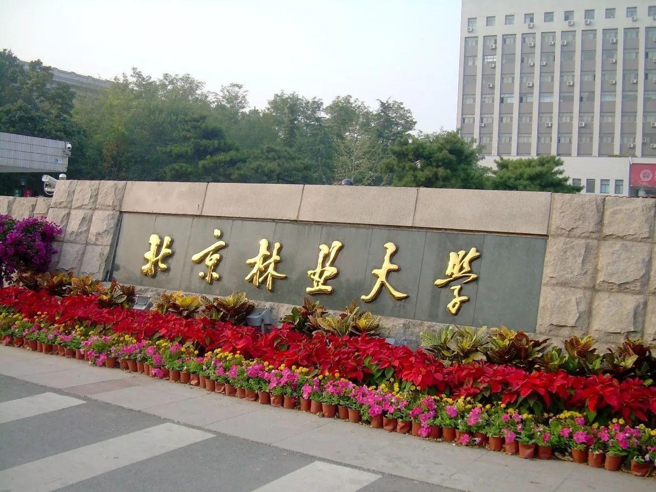北京林业大学地图学与地理信息系统2022年考研经验及备考指导