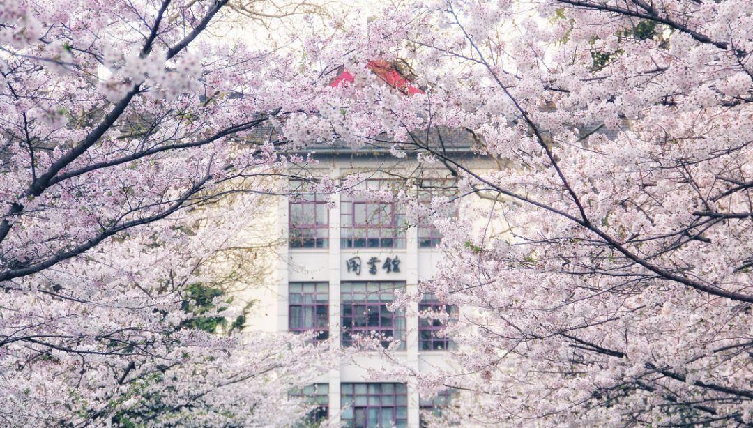 风景园林考研——东南大学和南京大学对比分析