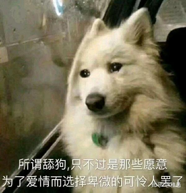 当舔狗真的不好么?