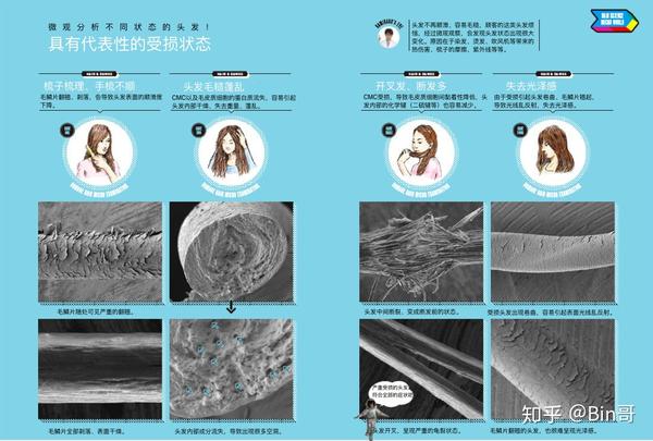 头发护理的基本原理 2.居家护理推荐及分析 3.