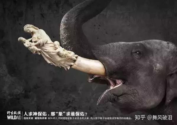 我为什么不支持刻意保护珍稀动物