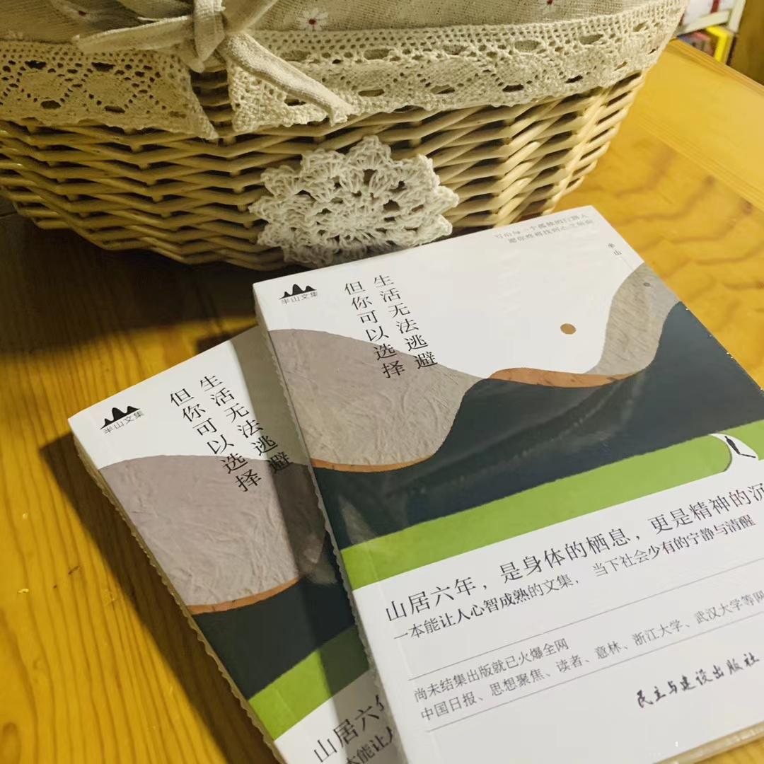 半山文集讲了什么怎么到处都在传这本书