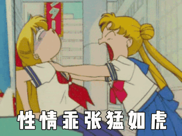 美少女战士表情包合集16