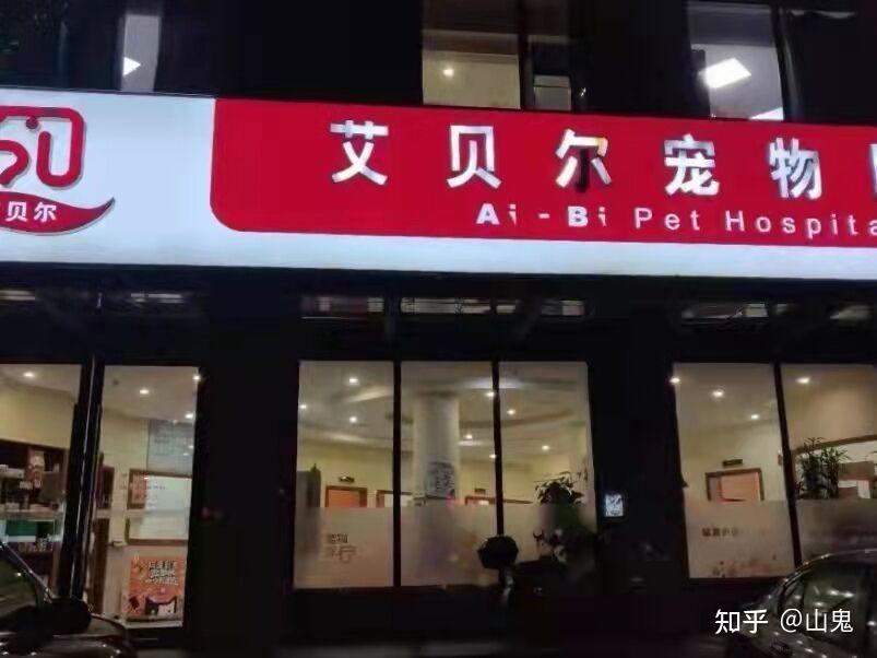 上海艾贝尔宠物医院怎么样