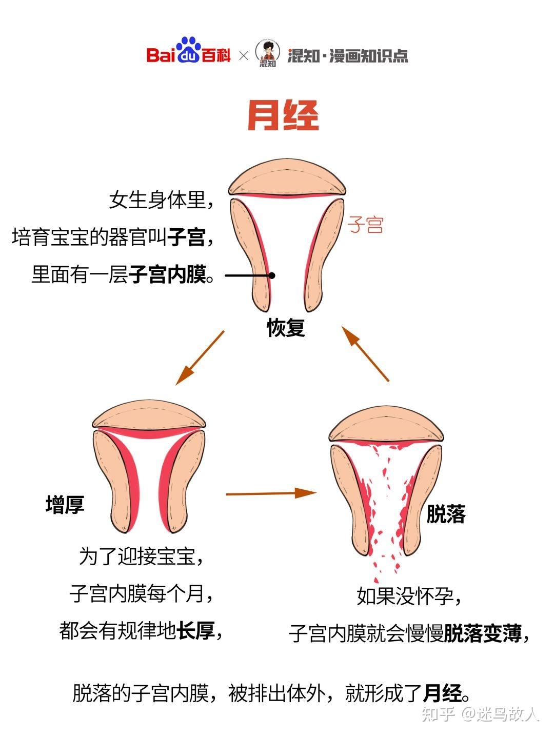 月经推迟怀孕的可能性有多大