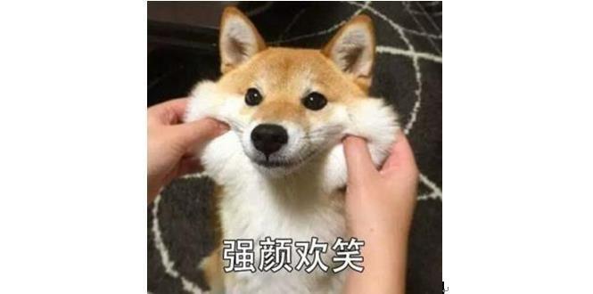 你表情里最搞笑的手机有哪些(关闭表情水印包生无可恋小猫图片